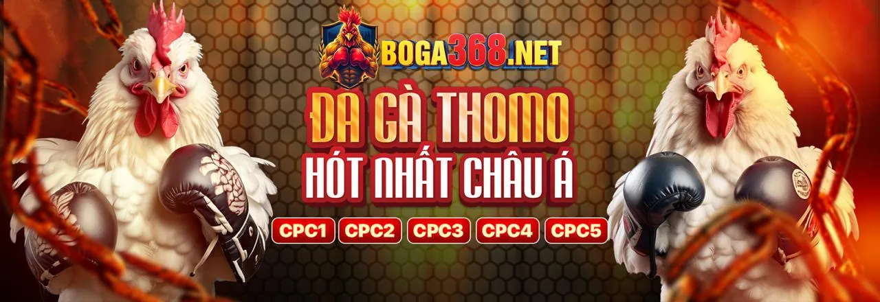 Đá Gà Trực Tuyến Full88 Win